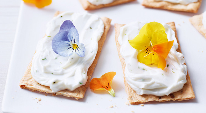 Blühendes Philadelphia Knusperbrot