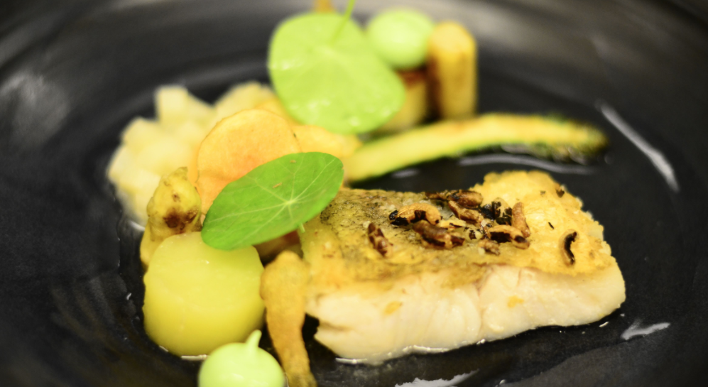 Zanderfilet mit grünem Spargel