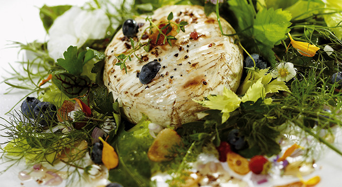 Kräutersalat mit gegrilltem Camembert