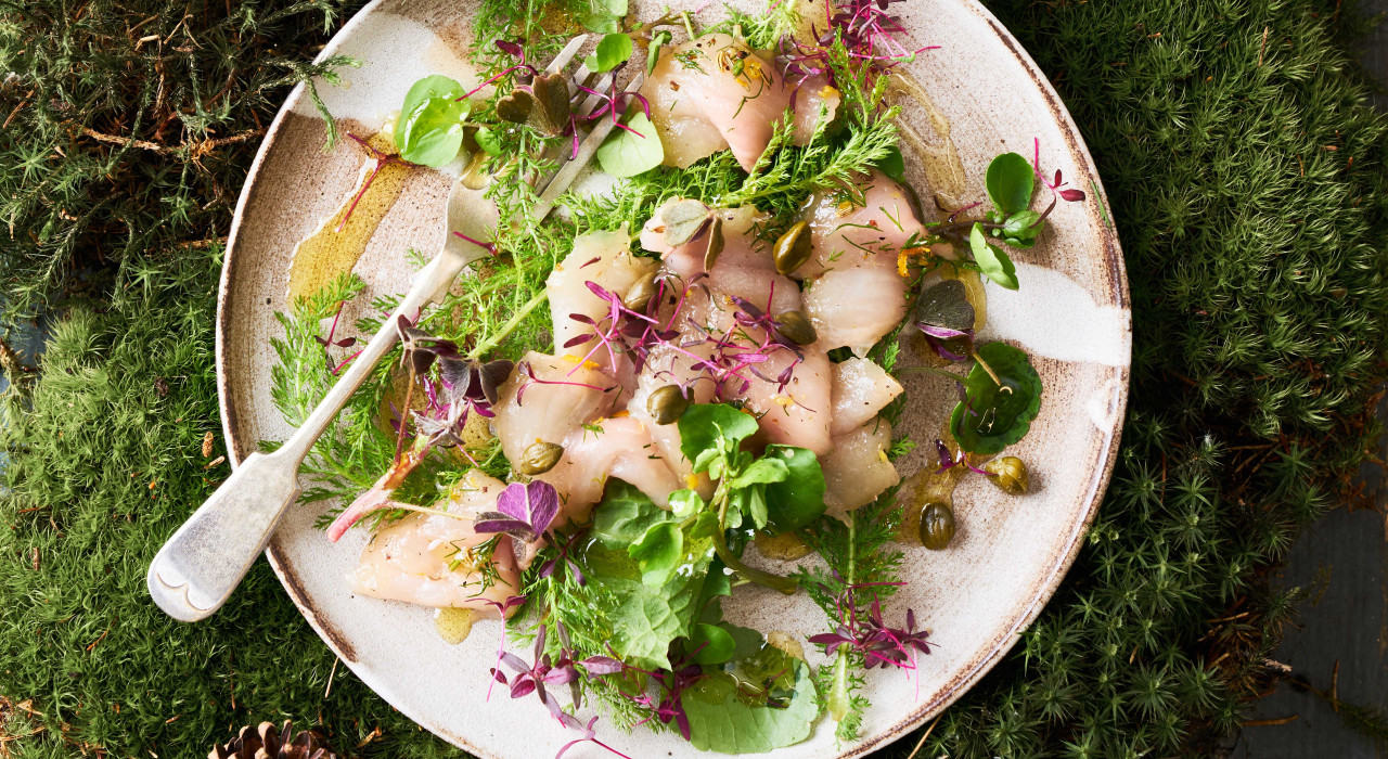 Marinierter Saibling mit Zirbenschnaps, Kapern und Koriander