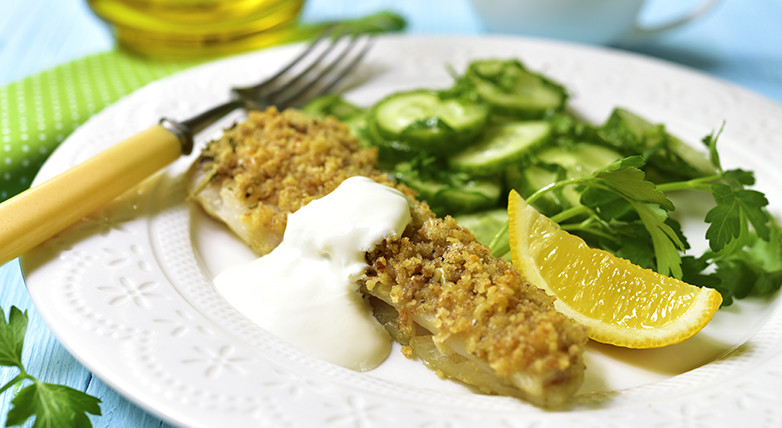Seelachs mit Kräuterbrösel auf frischem Gurkensalat
