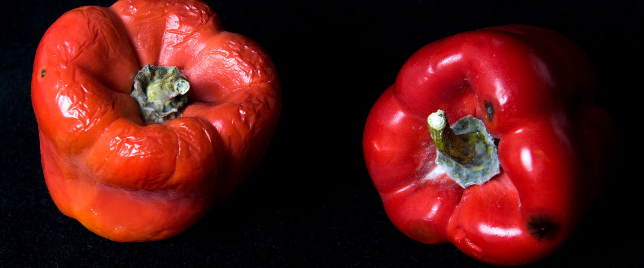Weniger wegwerfen durch richtige Lagerung.