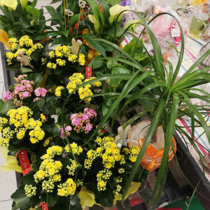 Das Geschäft mit Herz