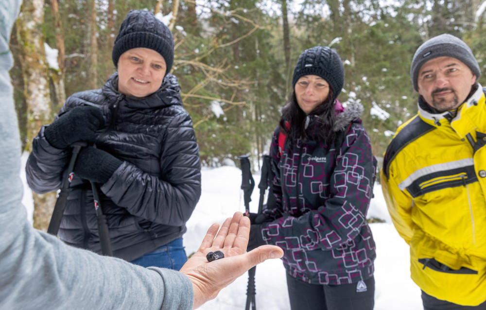 Almwirtschaft und Naturschutz im Einklang