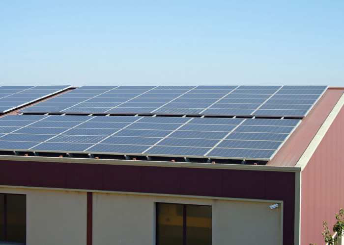 Durch und durch nachhaltig!